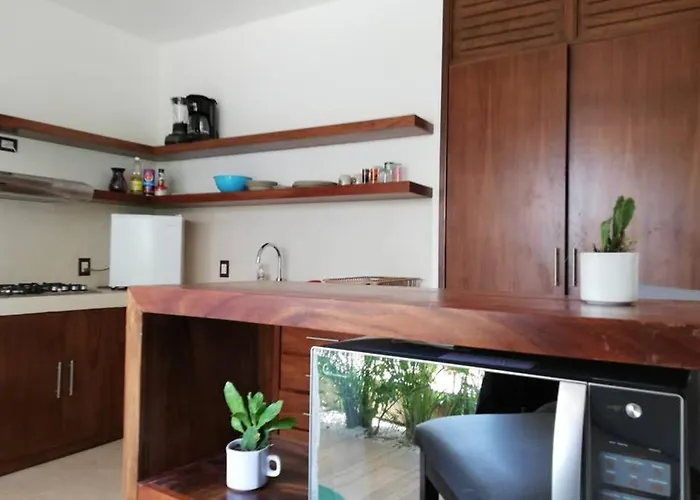 Alemaya Apart Amazing & Ecological Couple Jungle Retreat Aparthotel Tulum