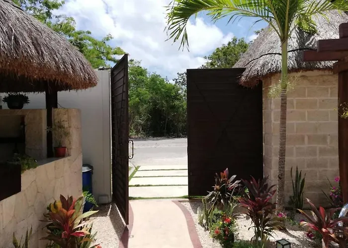 Alemaya Apart Amazing & Ecological Couple Jungle Retreat Aparthotel Tulum