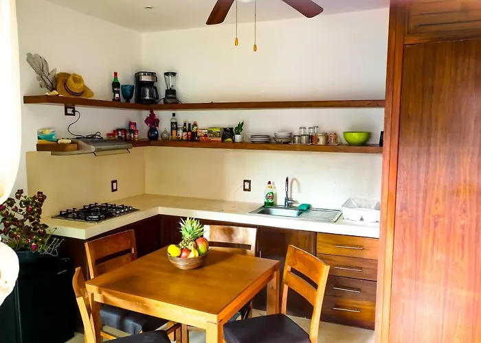 Alemaya Apart Amazing & Ecological Couple Jungle Retreat